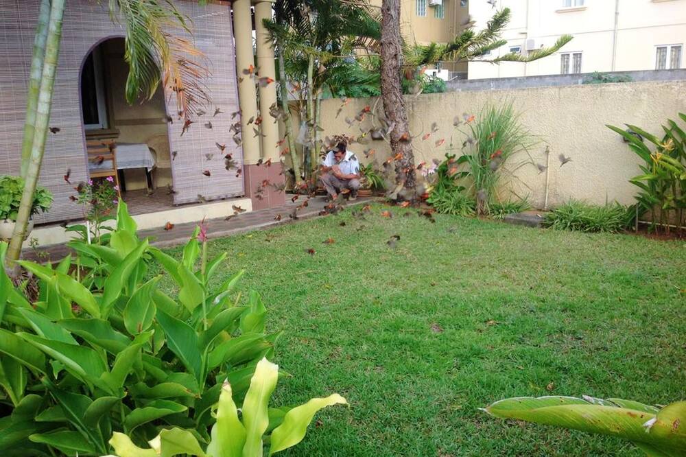 Photo of Others in Mont Choisy
