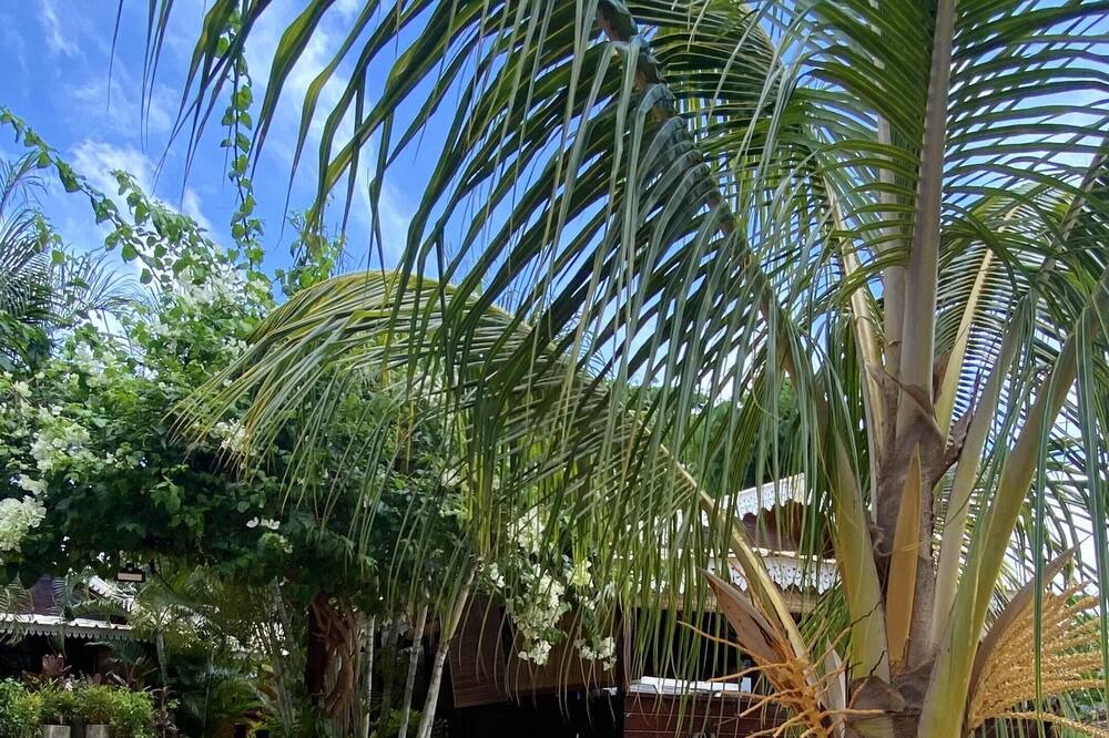 Photo of Outdoor in Albion