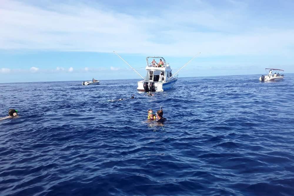 Photo of Others in Grand-Baie