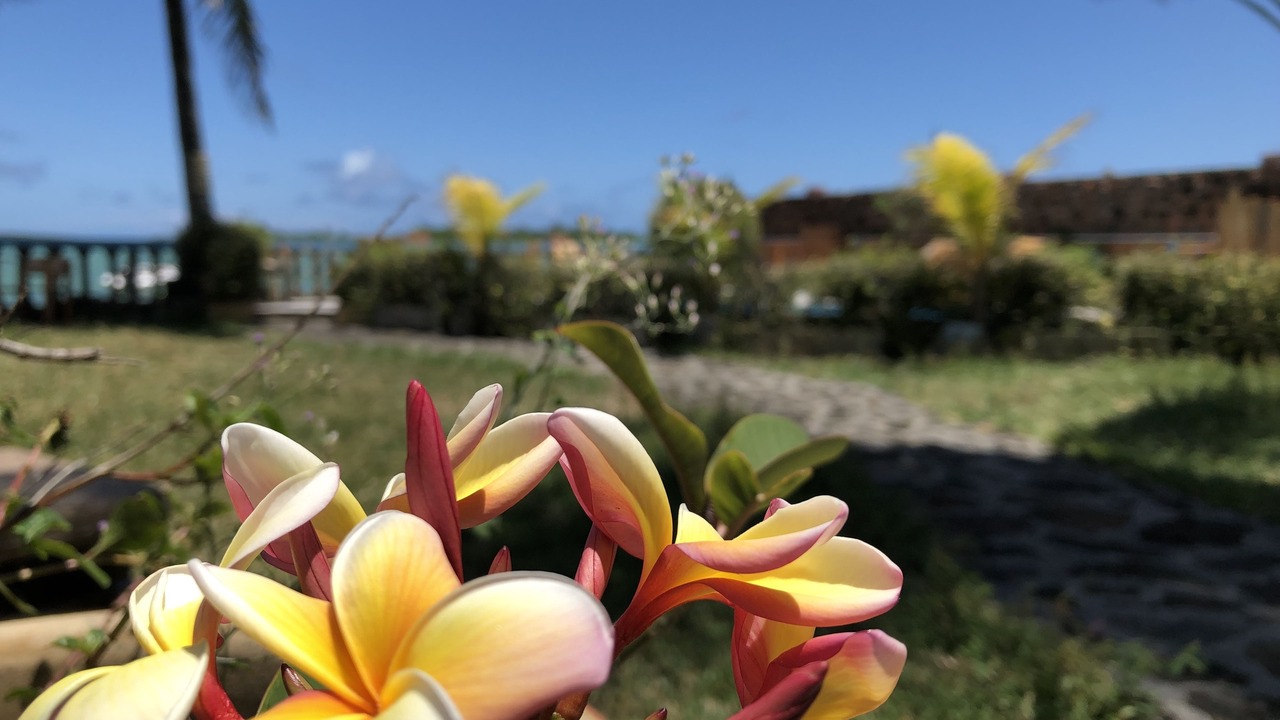 Photo of Outdoor in Mahebourg