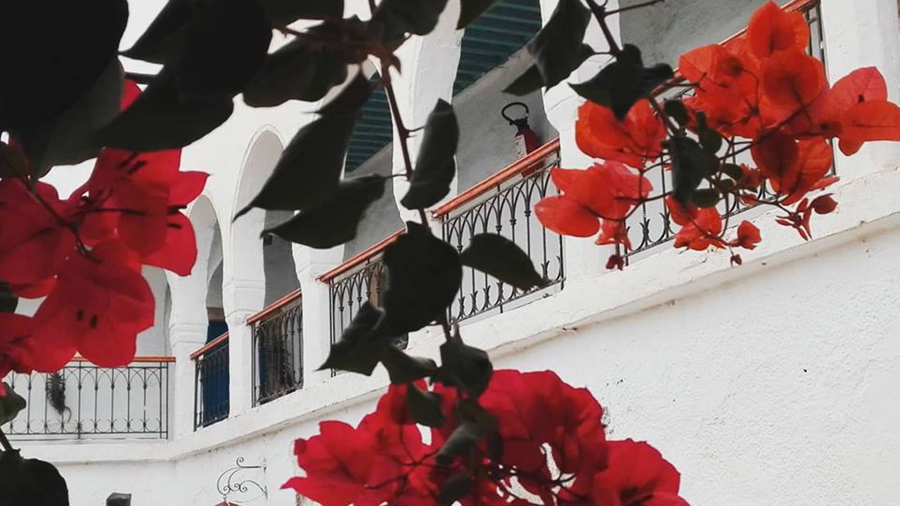 Photo of Patio Balcony in Houmt Souk