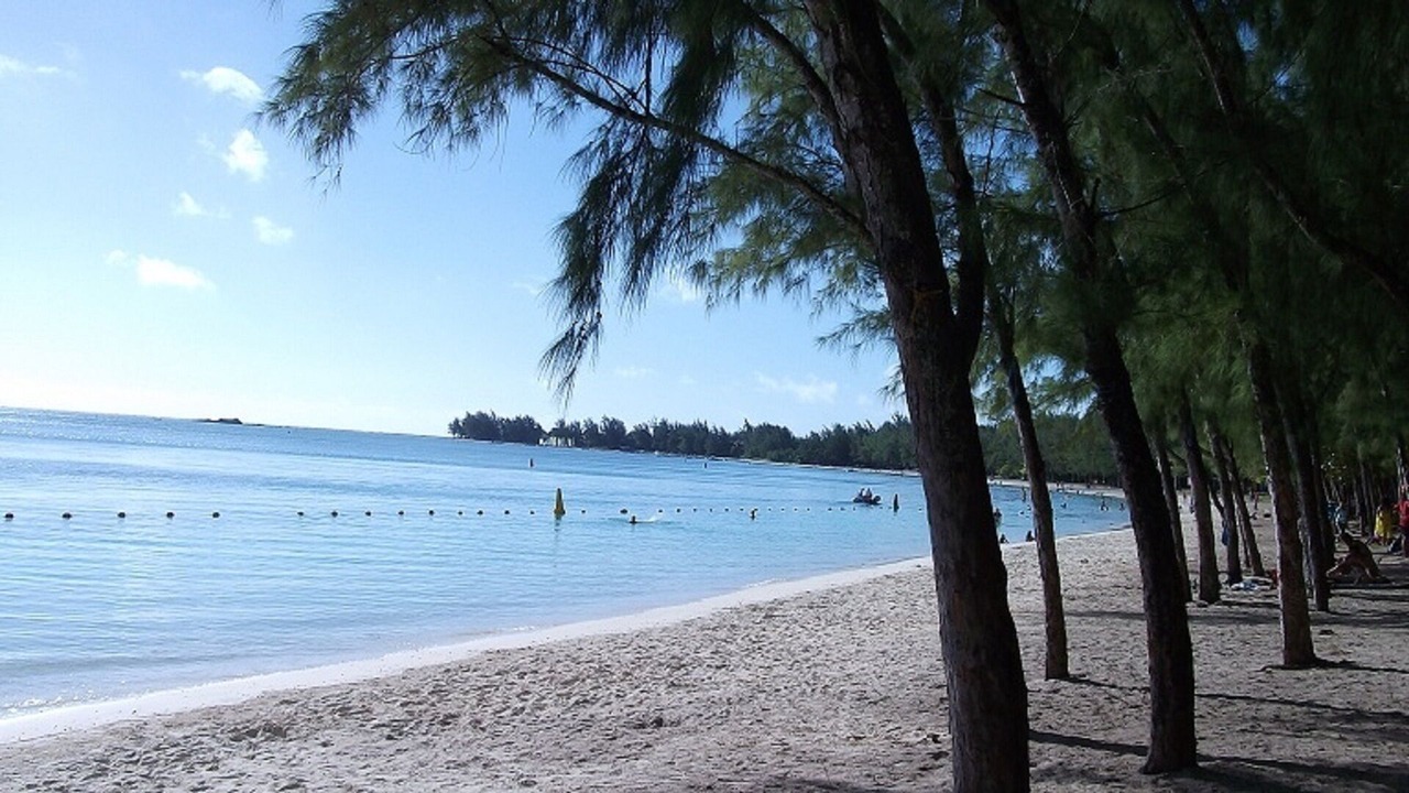 Photo of Others in Mont Choisy
