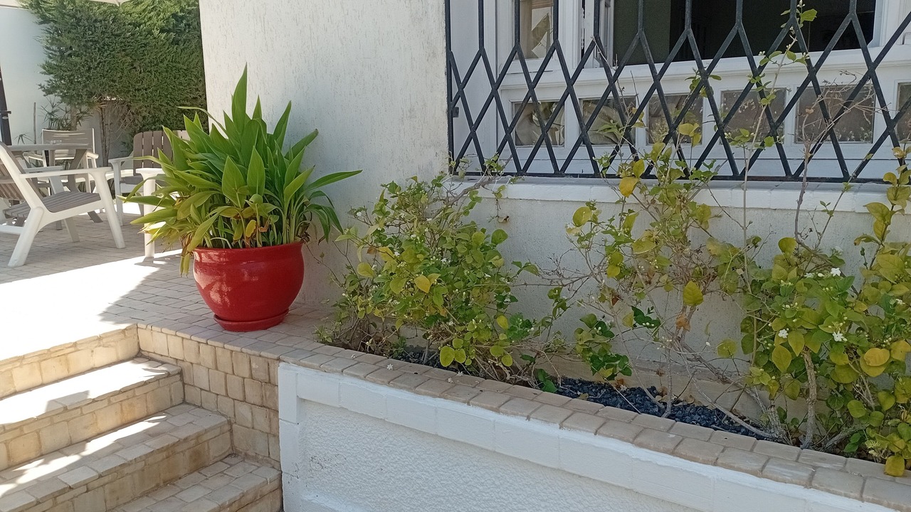 Photo of Outdoor in La Soukra
