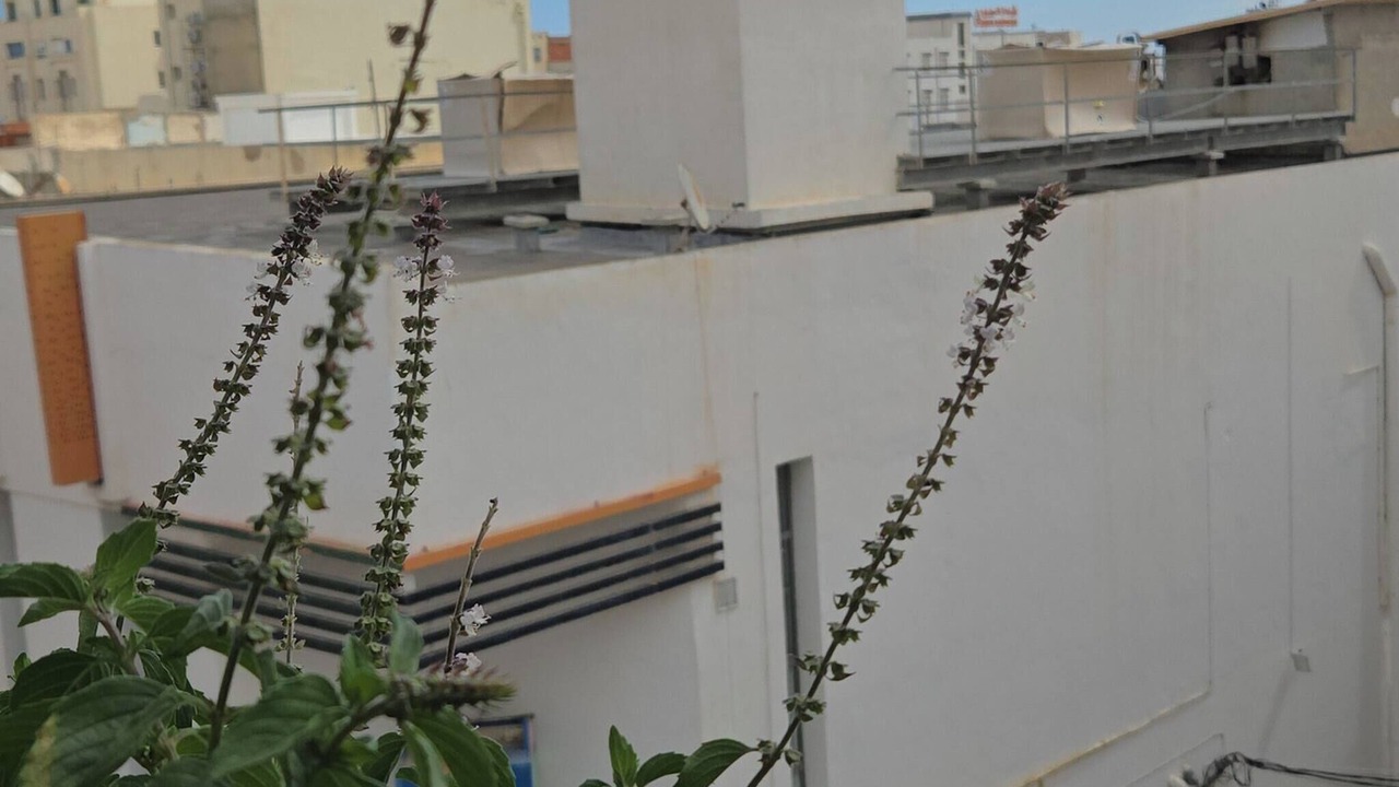 Photo of Patio Balcony in Sousse
