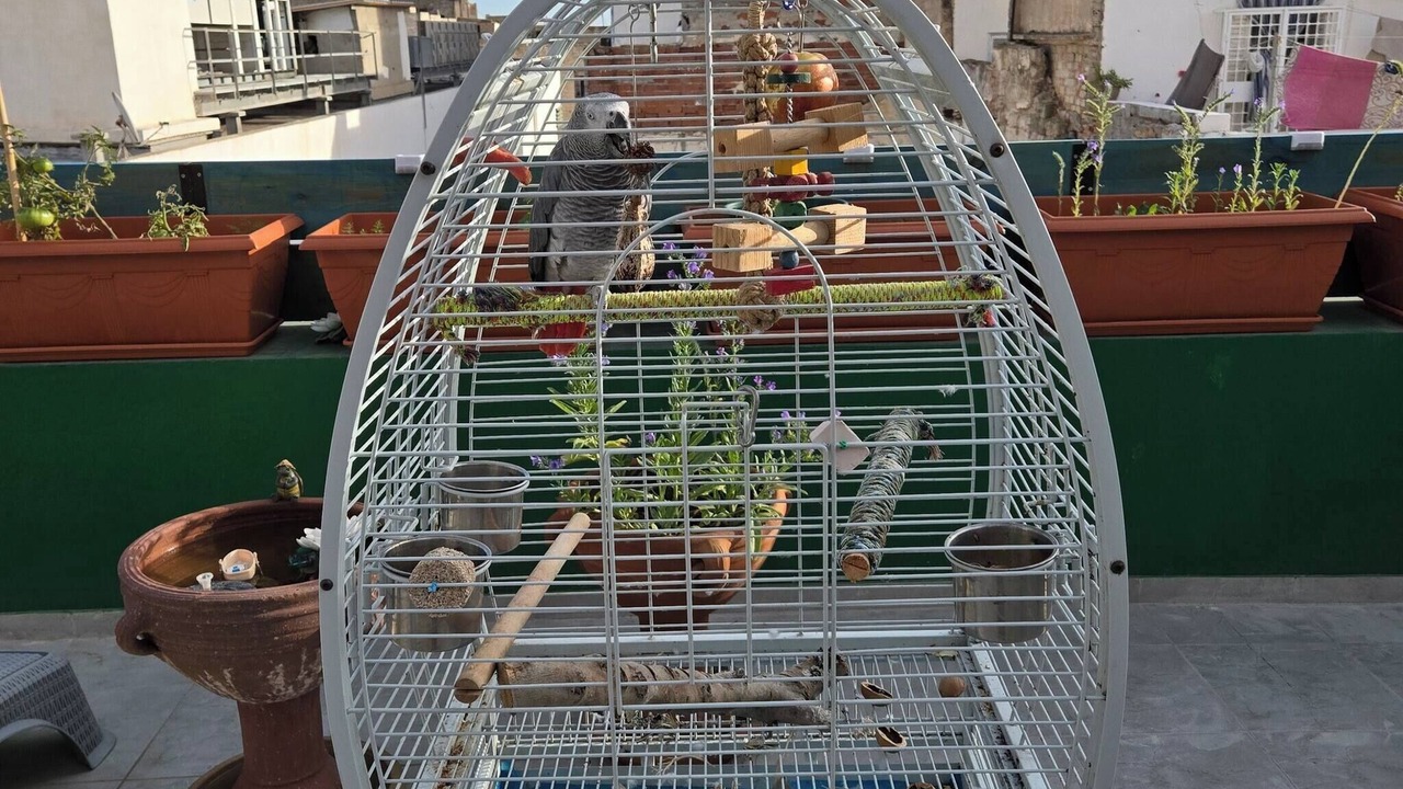 Photo of Patio Balcony in Sousse