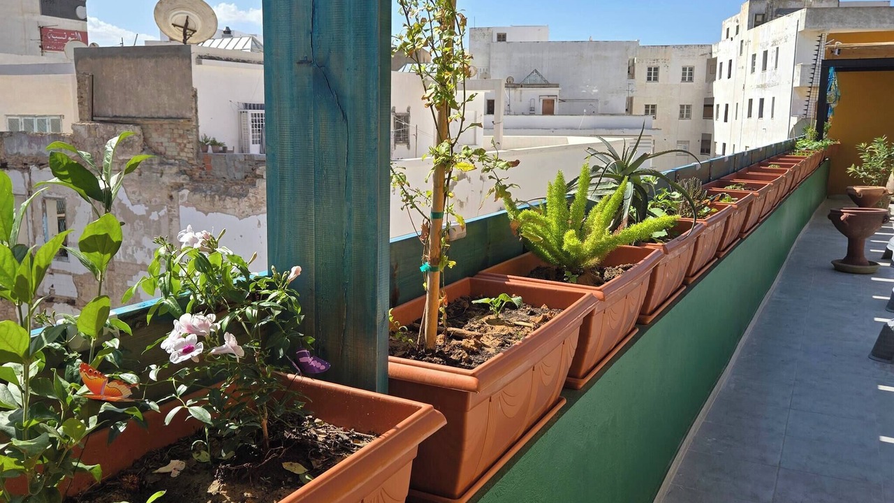 Photo of Patio Balcony in Sousse