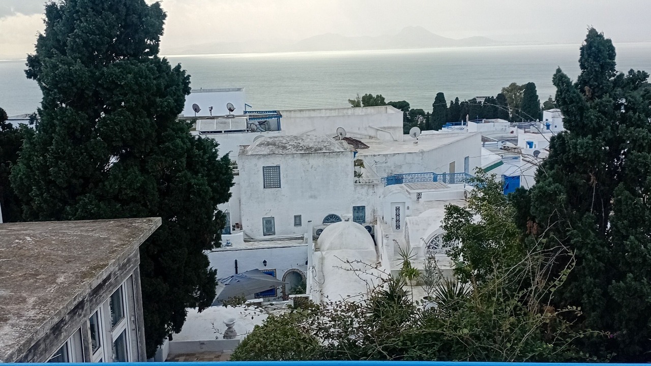 Photo of Others in Sidi Bou Said