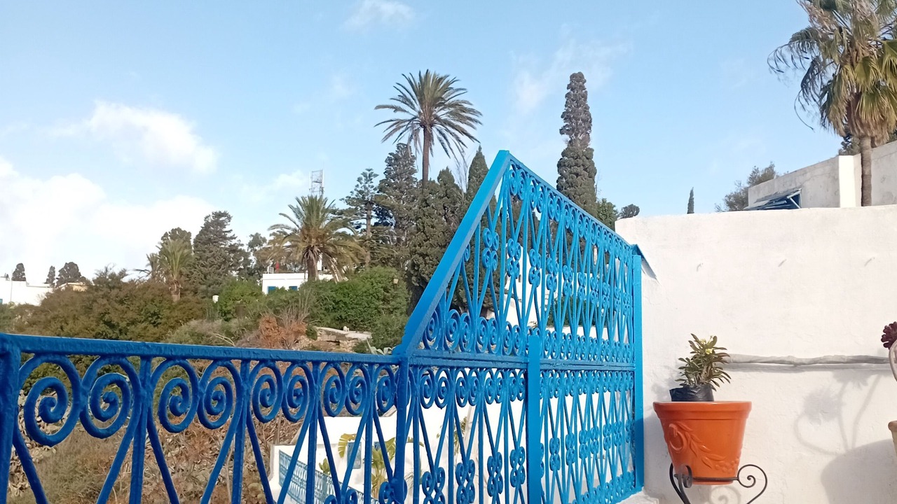 Photo of Outdoor in Sidi Bou Said
