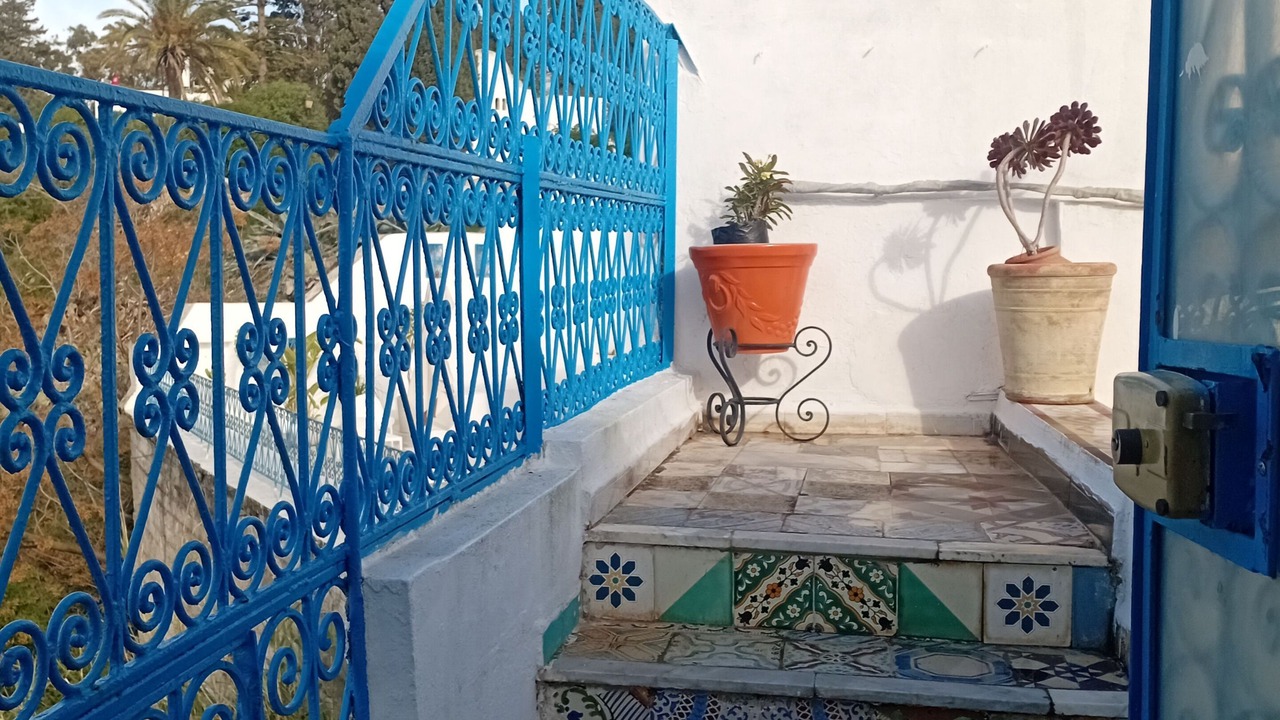 Photo of Outdoor in Sidi Bou Said