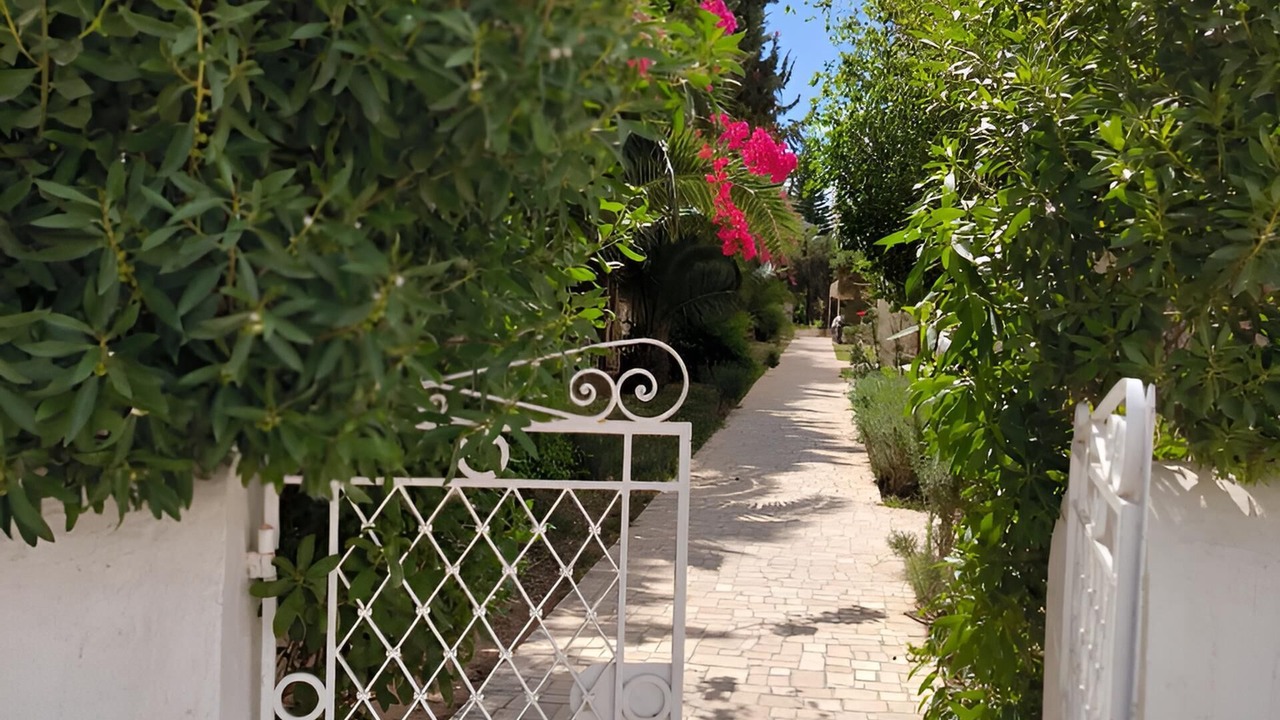 Photo of Patio Balcony in Yasmine