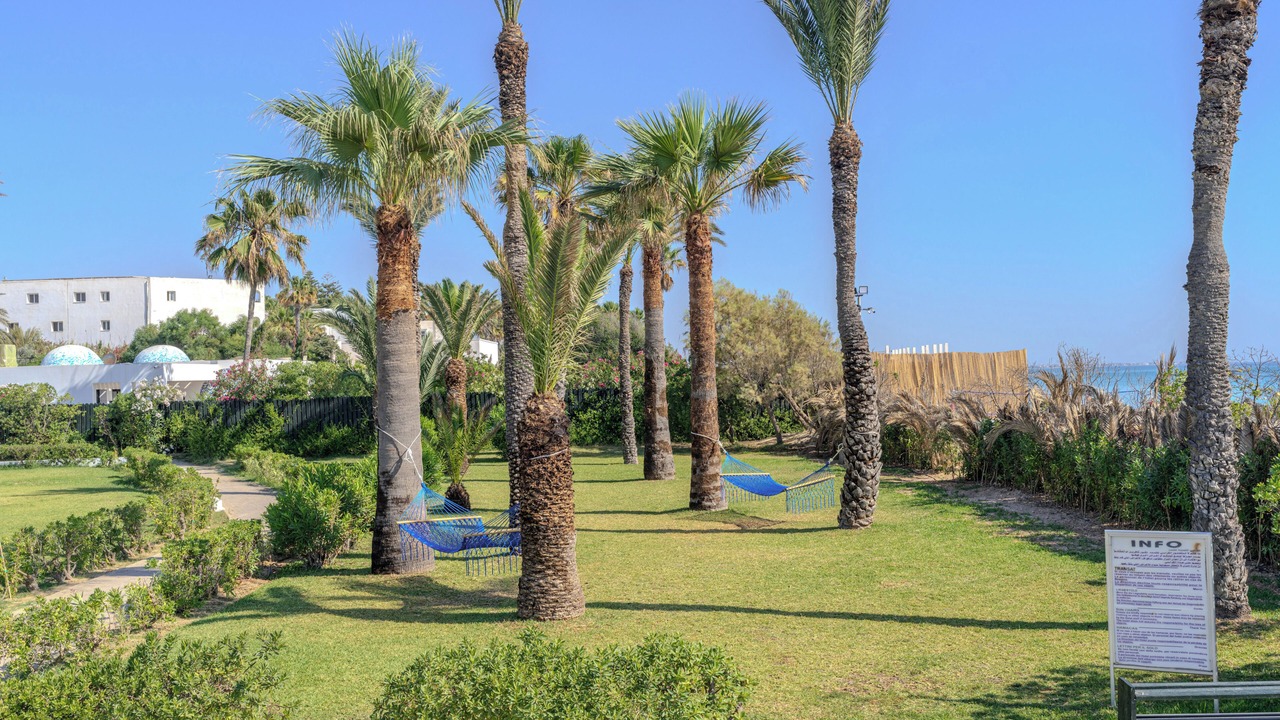 Photo of Outdoor in Mahdia