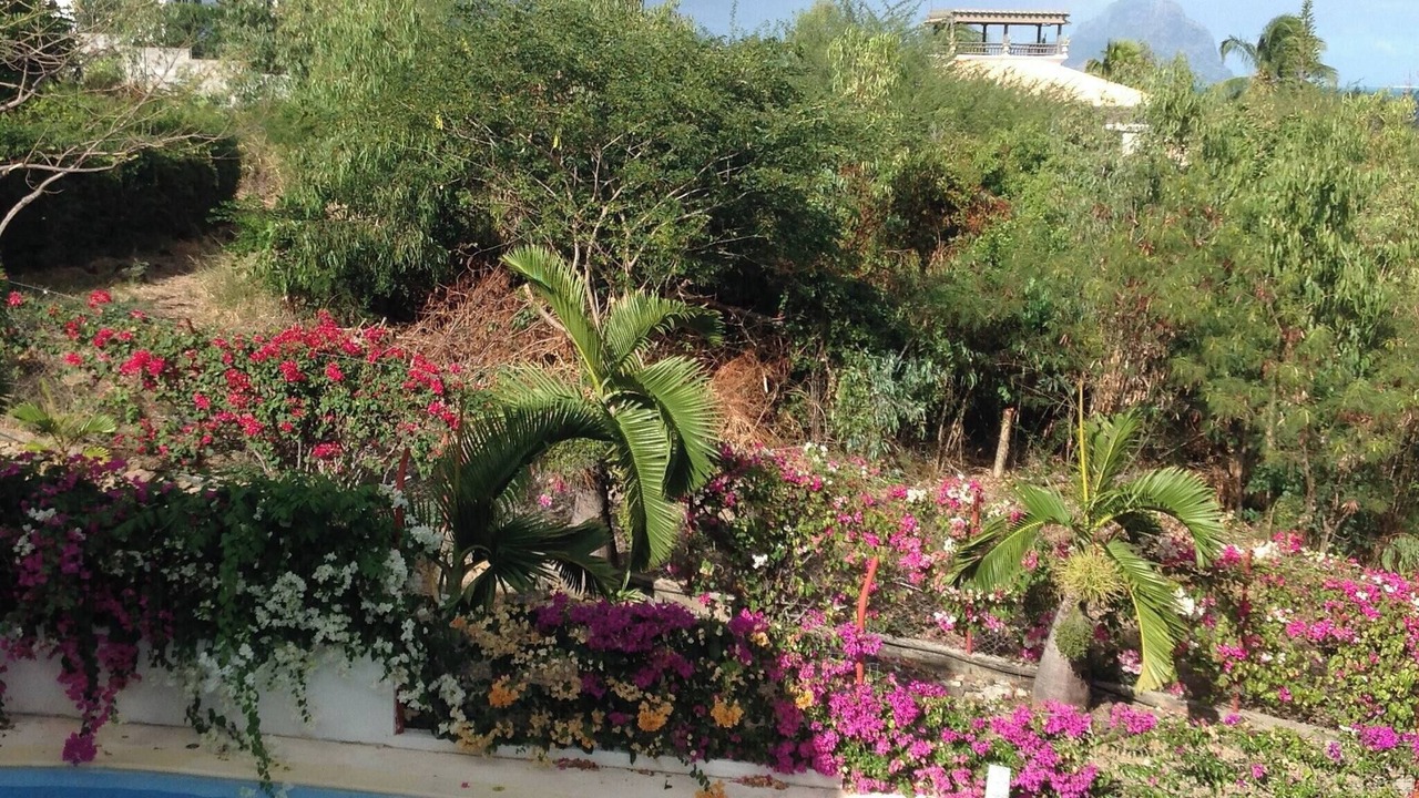 Photo of Outdoor in La Mivoie