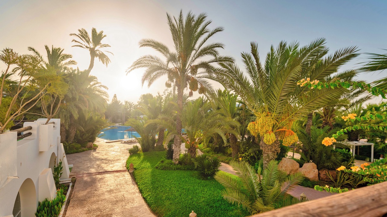 Photo of Outdoor in Triffa