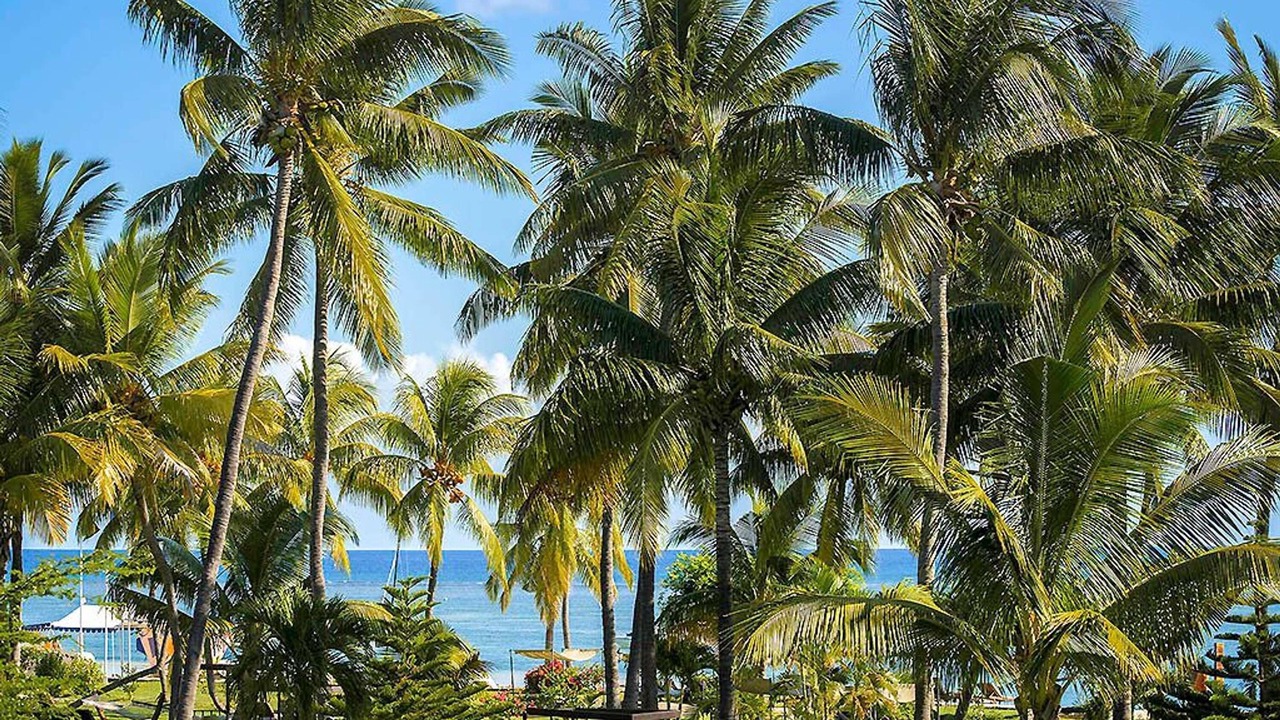 Photo of Outdoor in Wolmar