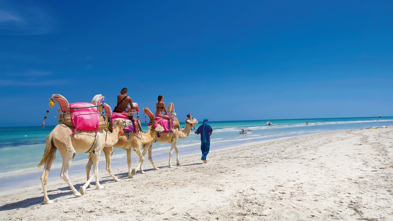 Photo of Others in Djerba Midun