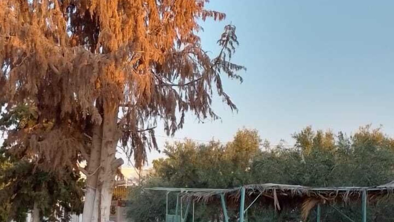 Photo of Outdoor in Agareb