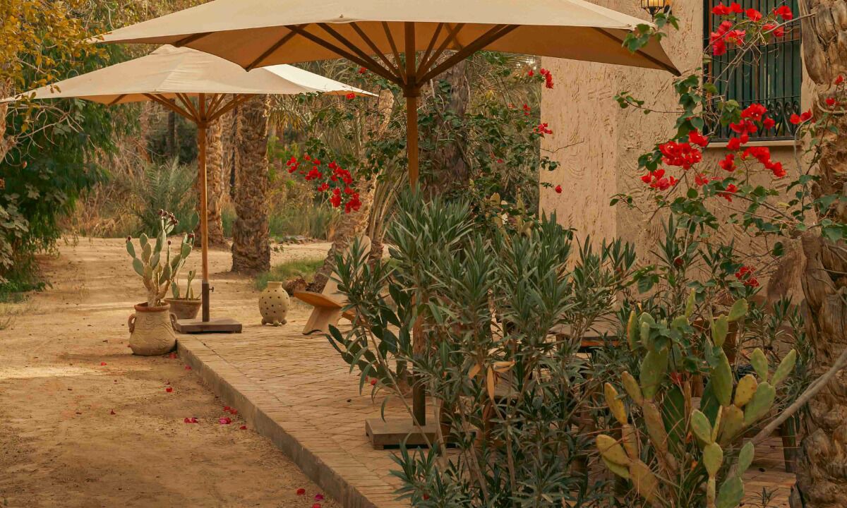 Photo of Outdoor in Tozeur