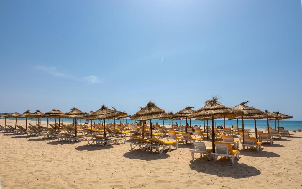 Photo of Others in Hammamet