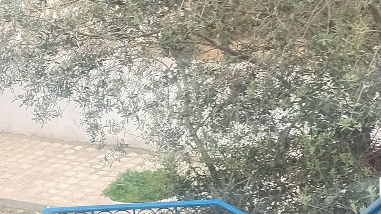 Photo of Patio Balcony in Sidi Bou Said
