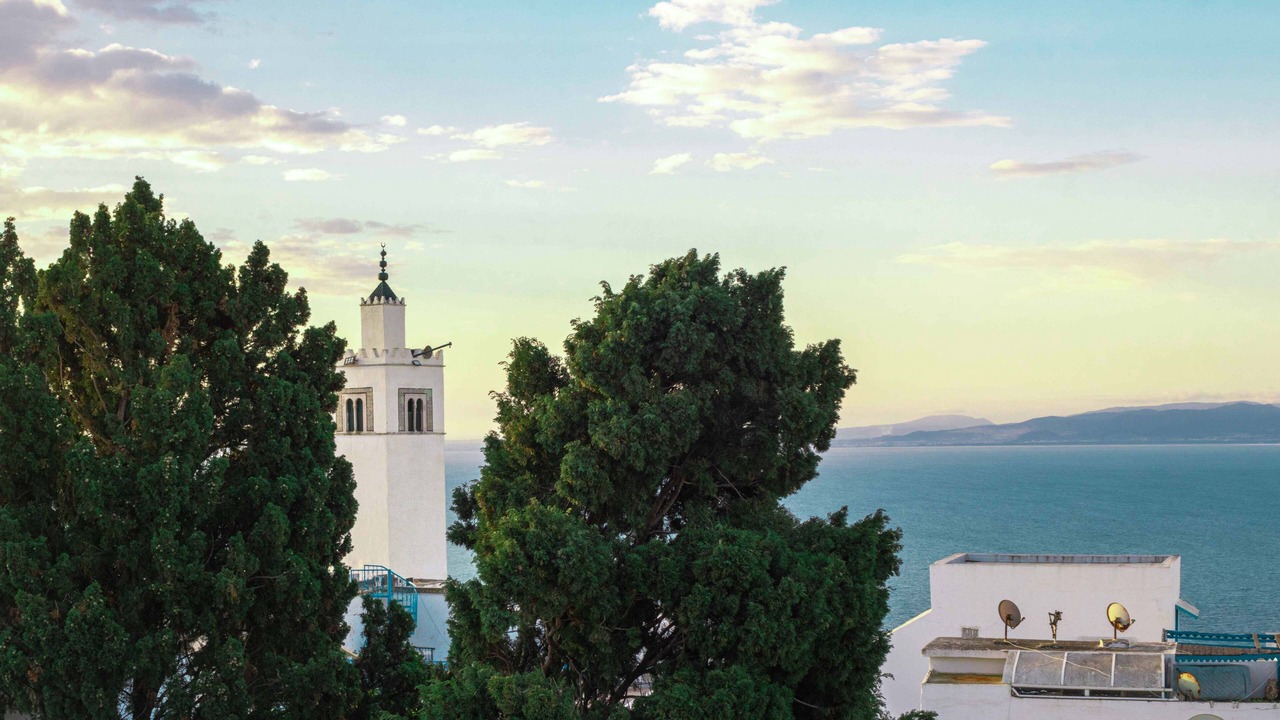 Photo of Patio Balcony in Sidi Bou Said