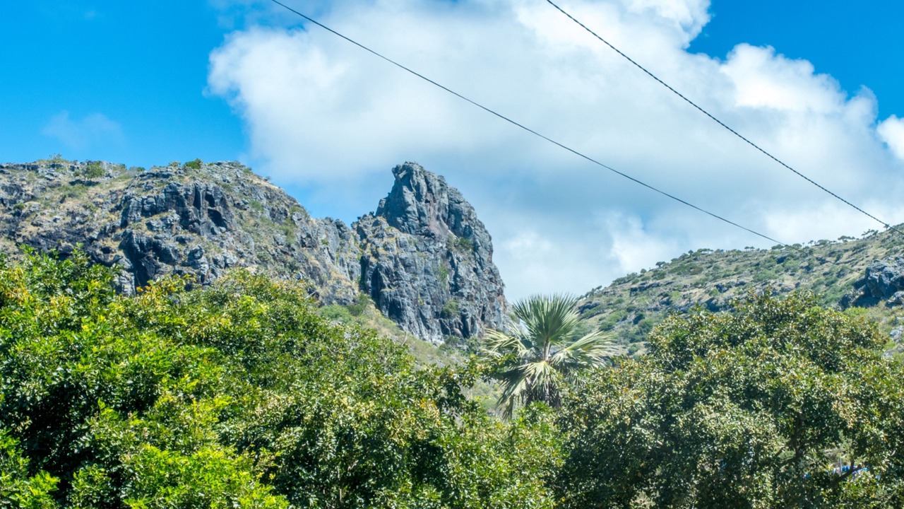 Photo of Others in Coromandel