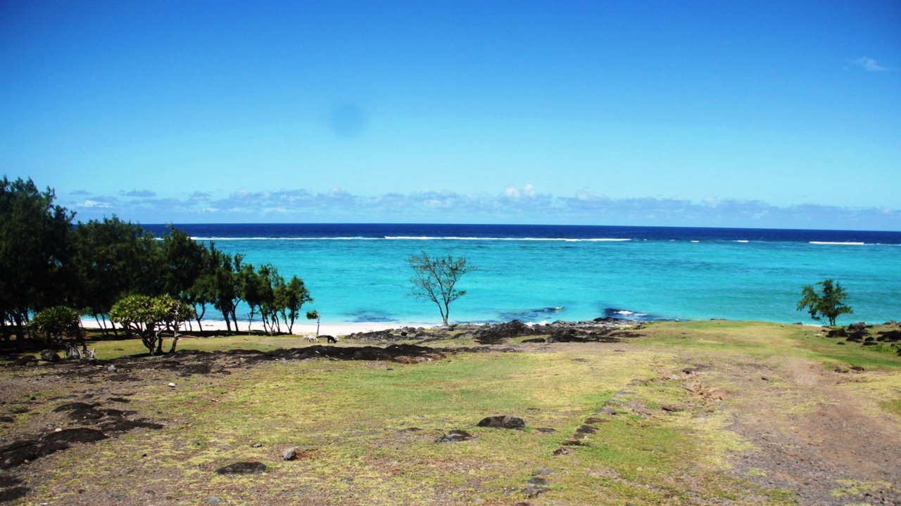 Photo of Outdoor in Coromandel