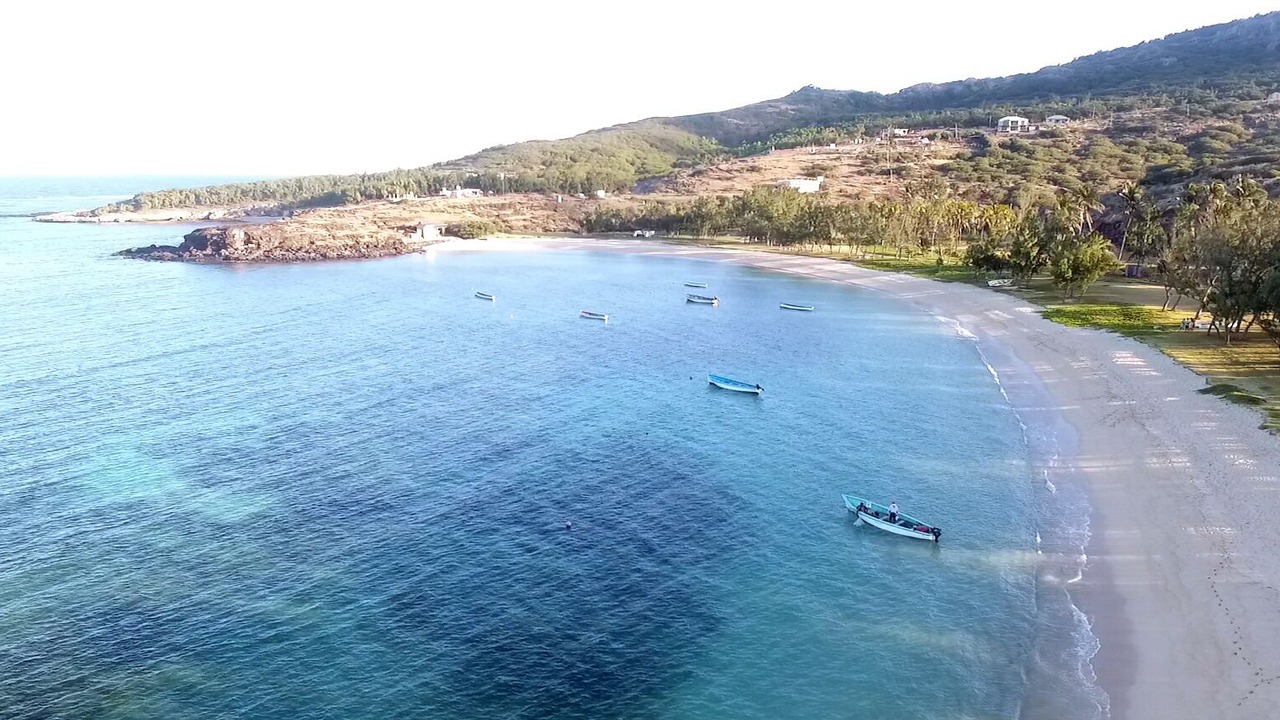 Photo of Outdoor in Coromandel