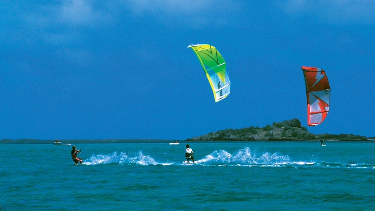 Photo of Others in Coromandel