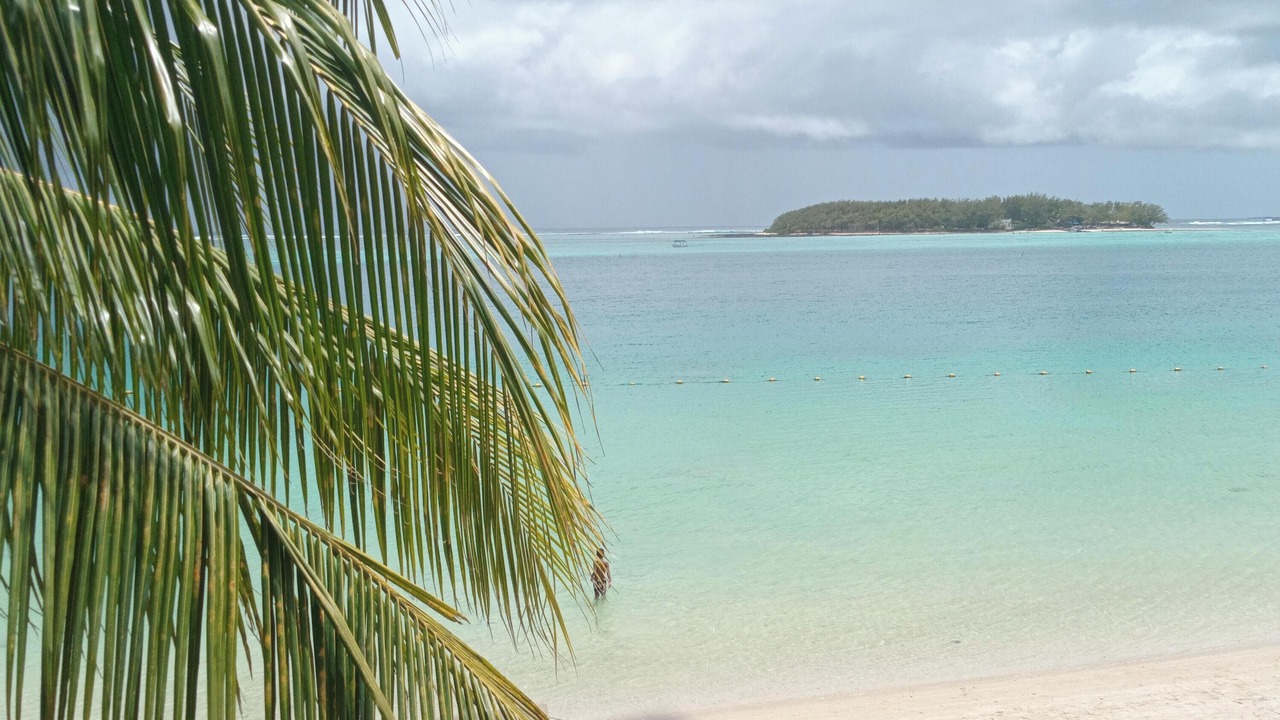 Photo of Others in Blue Bay