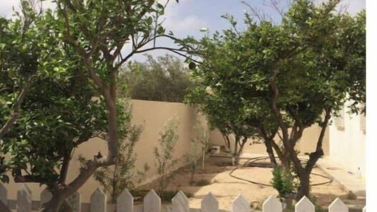 Photo of Outdoor in Houmt Souk