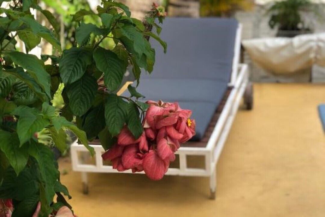 Photo of Outdoor in Trou aux Biches