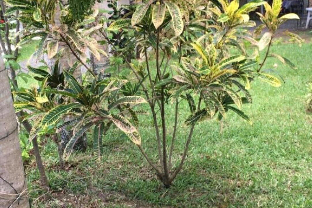 Photo of Outdoor in Pereybere