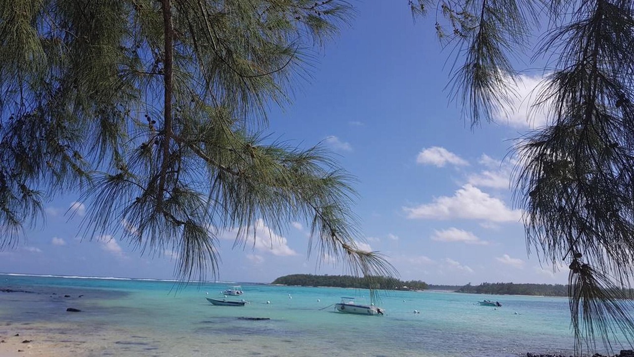 Photo of Others in Blue Bay