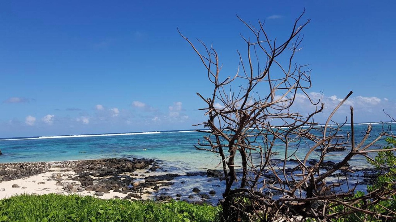 Photo of Others in Blue Bay