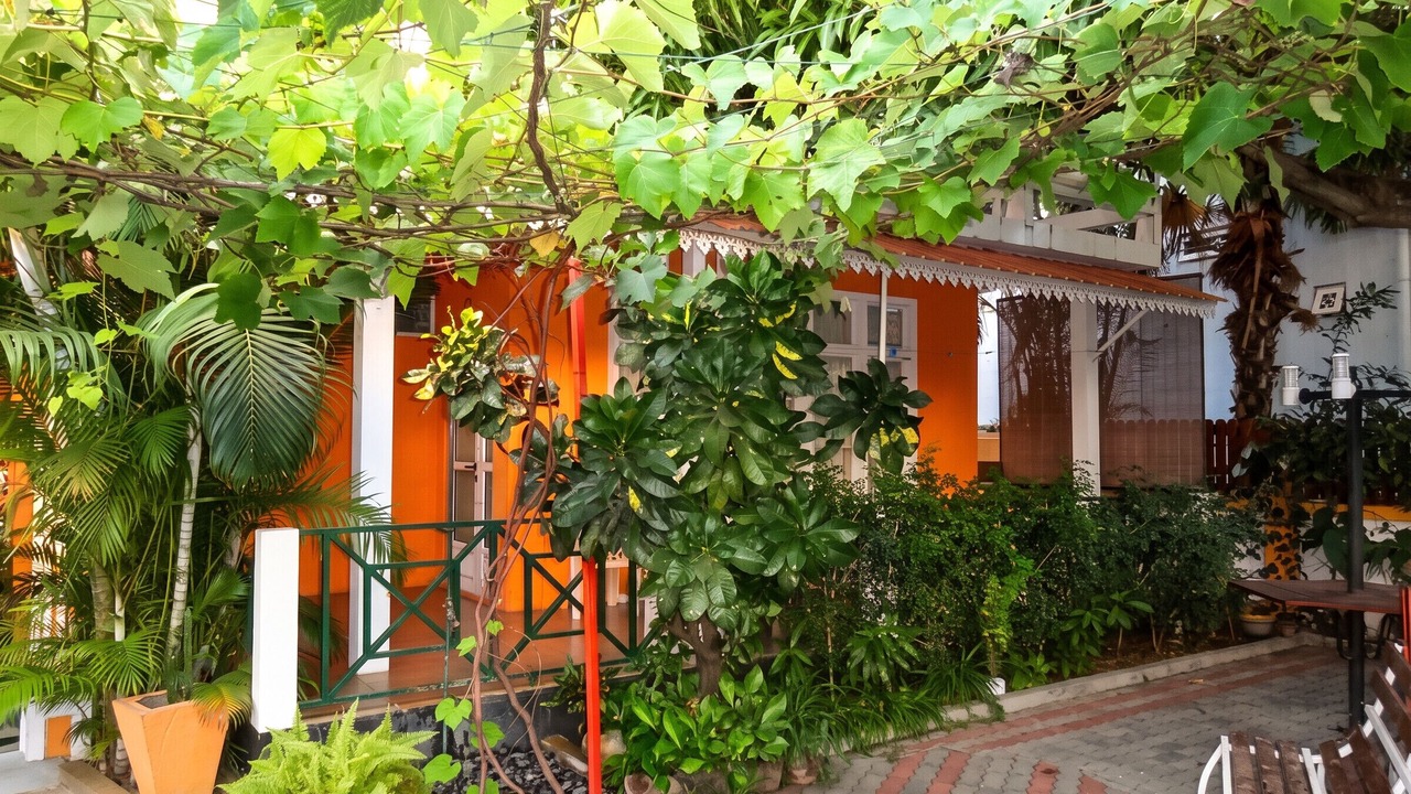Photo of Outdoor in Flic-en-Flac