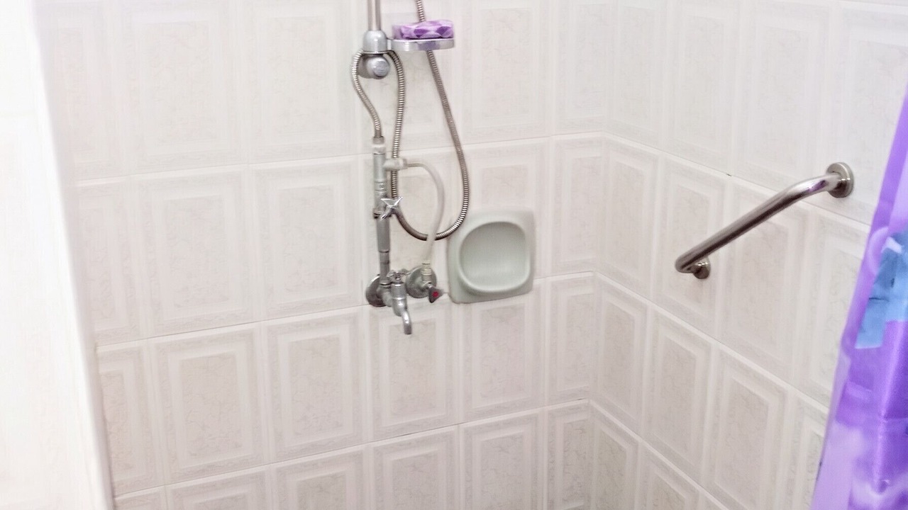 Photo of Bathroom in Flic-en-Flac