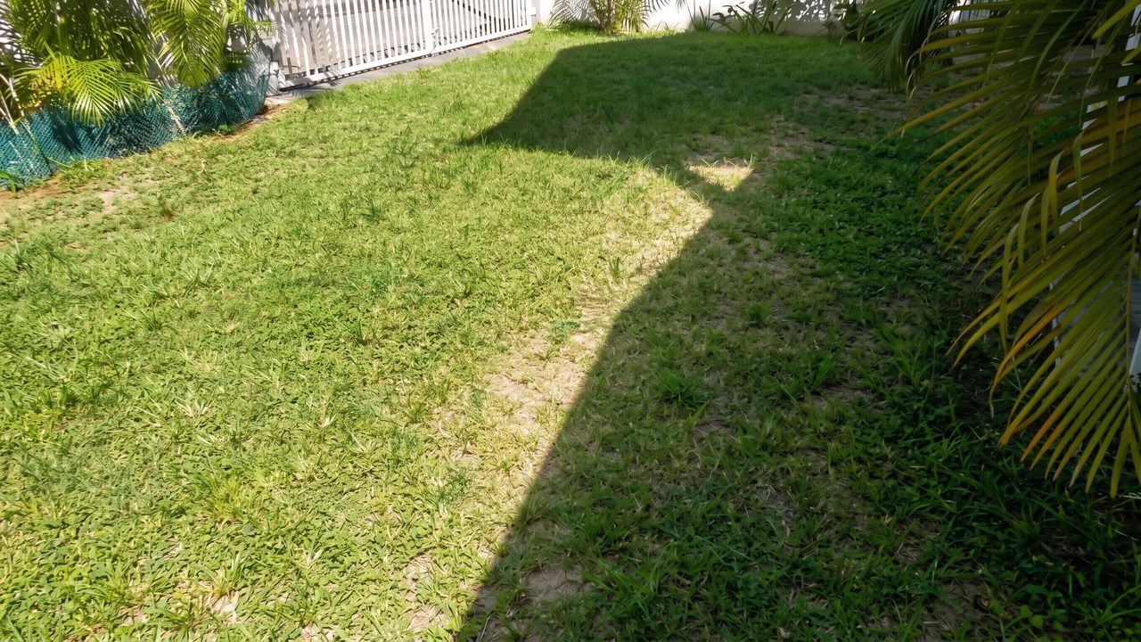 Photo of Outdoor in Flic-en-Flac