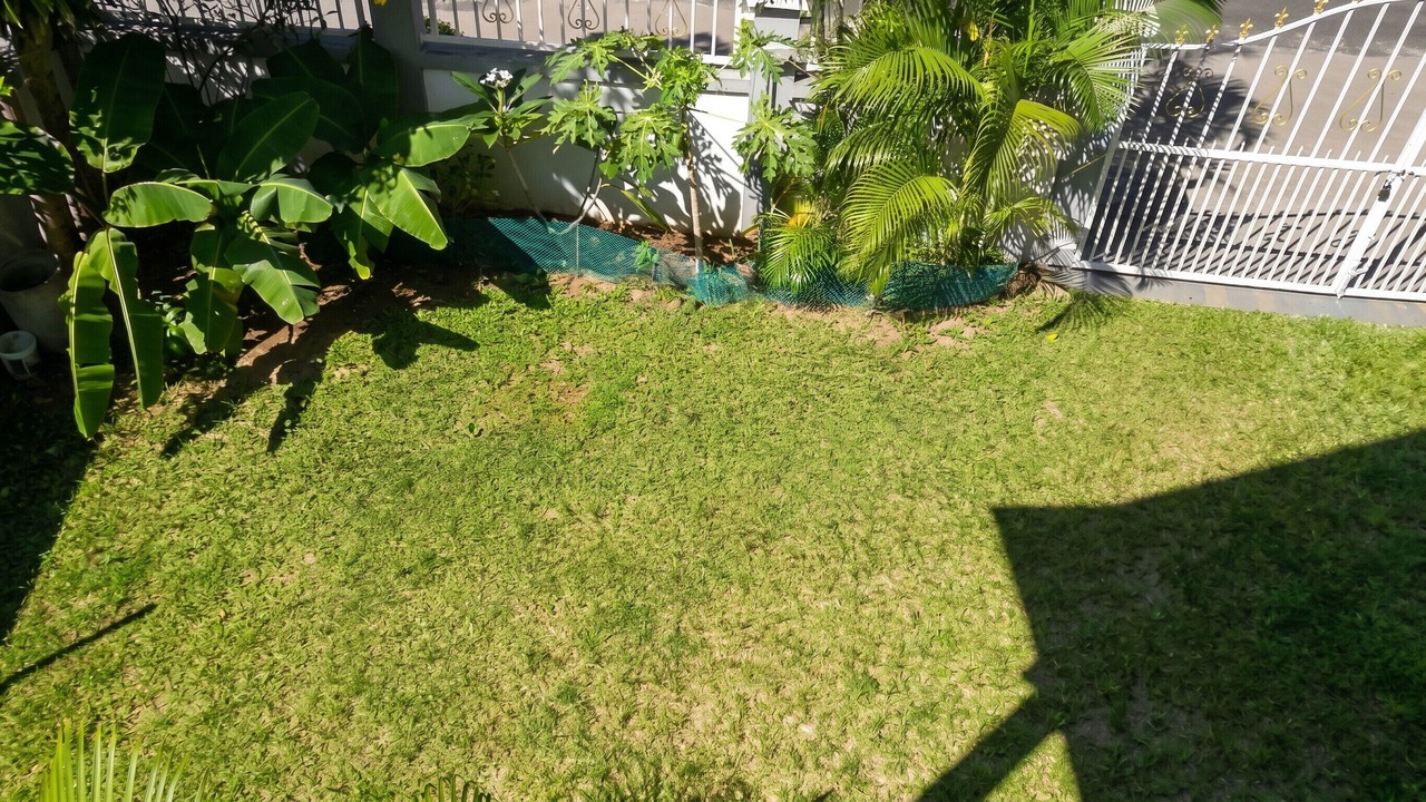 Photo of Outdoor in Flic-en-Flac