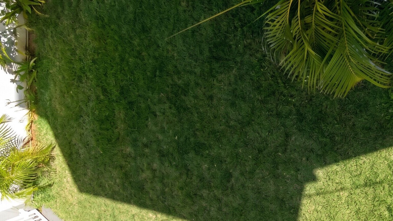 Photo of Outdoor in Flic-en-Flac