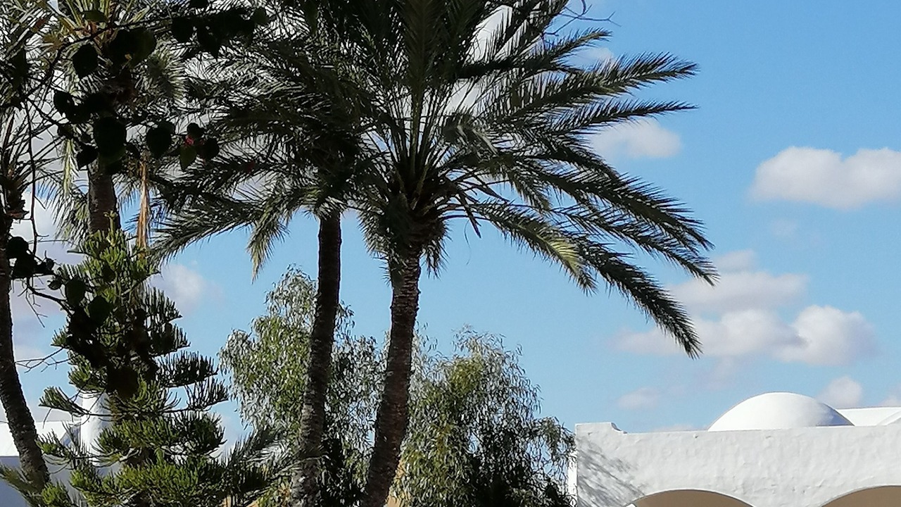 Photo of Outdoor in Midoun