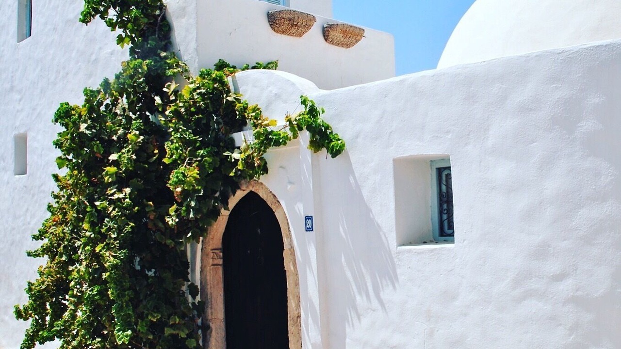 Photo of Outdoor in Erriadh