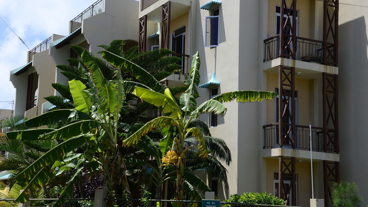Photo of Outdoor in Blue Bay