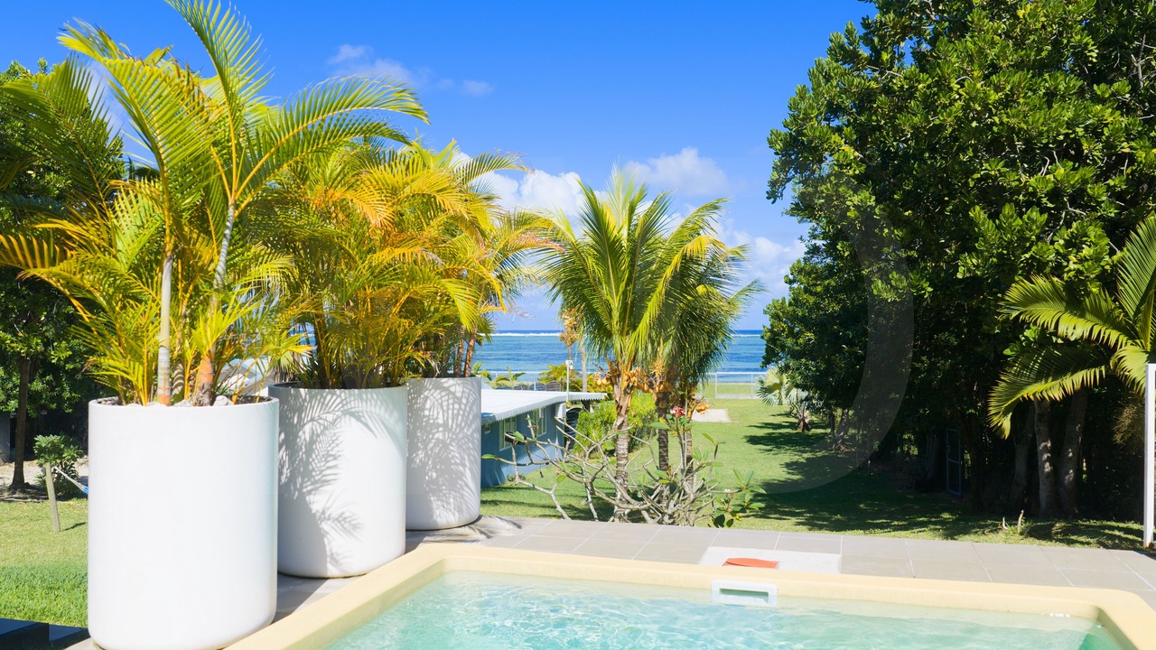 Photo of Outdoor in Surinam