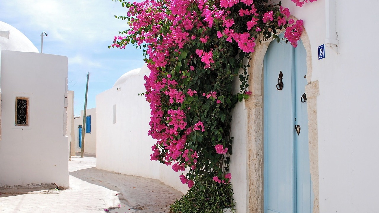 Photo of Outdoor in Erriadh