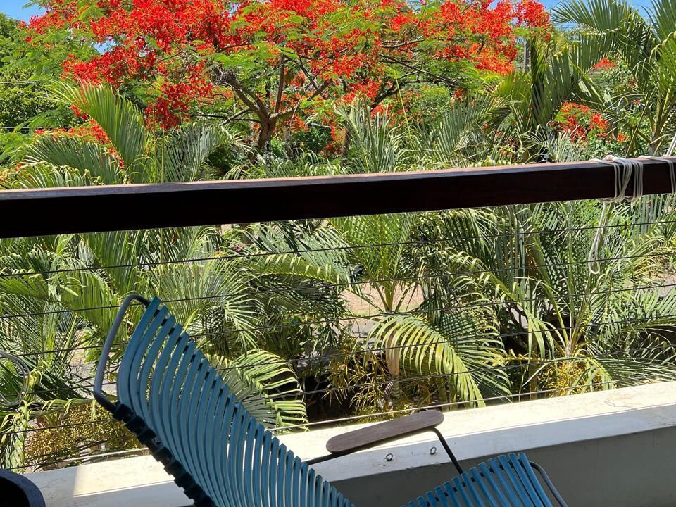 Photo of Outdoor in Mont Choisy