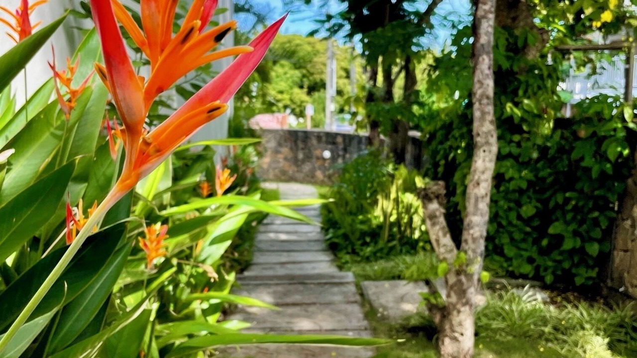 Photo of Outdoor in Mont Choisy