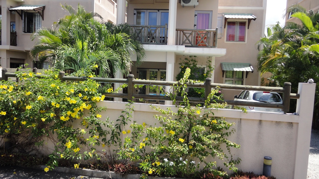Photo of Outdoor in Trou d'Eau Douce