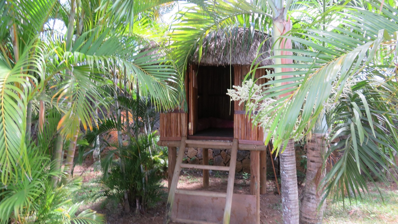 Photo of Outdoor in Pereybere