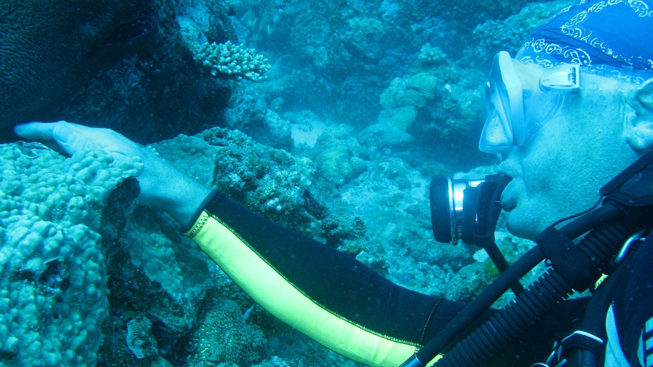 Photo of Others in Trou aux Biches