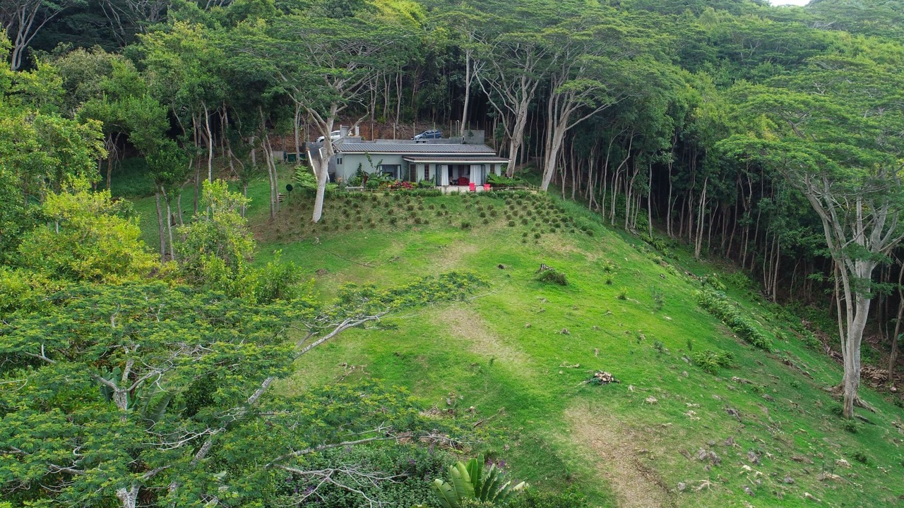 Photo of Others in Chamarel